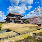 Antes de embarcar, Alberto Toshio Murakami apresenta os principais costumes no Japão que todo viajante precisa conhecer.