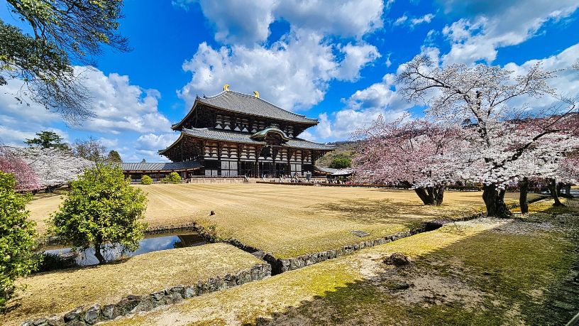 Antes de embarcar, Alberto Toshio Murakami apresenta os principais costumes no Japão que todo viajante precisa conhecer.