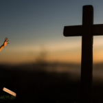 Jose Eduardo De Oliveira e Silva