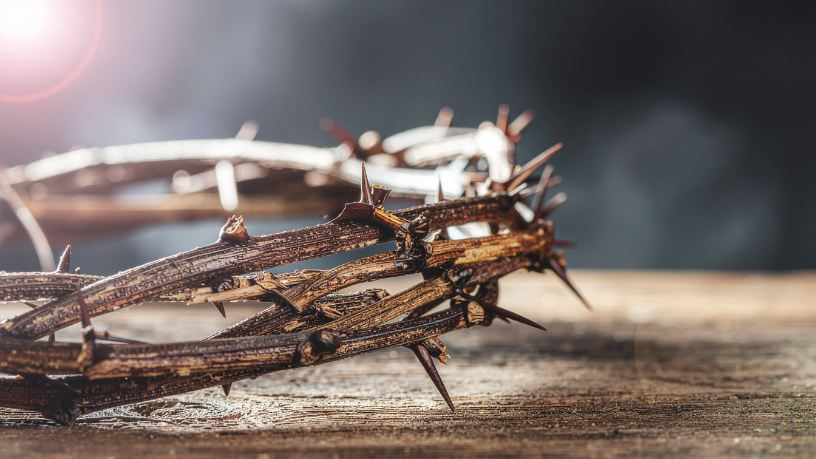 Jose Eduardo De Oliveira e Silva